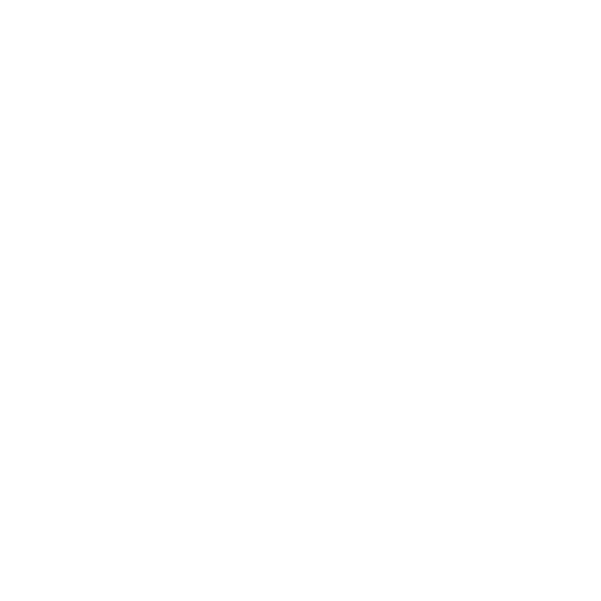 electronic embeded system